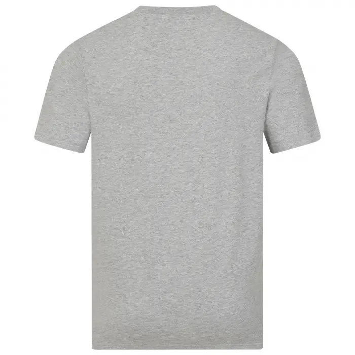 Wolverhampton Wanderers Store | Shop Official Wolves Graphic T-Shirt – Grey Wolves Gear